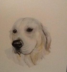 Watercolour Pet Portraits